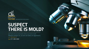 Mold Inspection & Testing in Alexandria,  VA