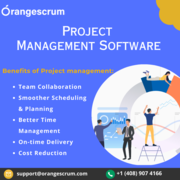 Best Project Management Software - Orangescrum